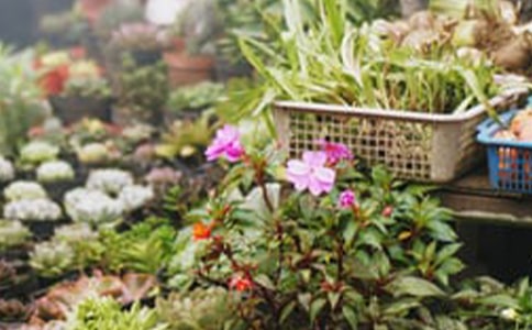 [��]���괴ҵ�ƻ���