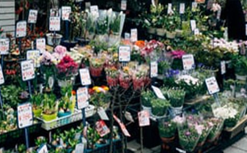 ���괴ҵ�߻���