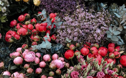 ���������괴ҵ�ƻ���