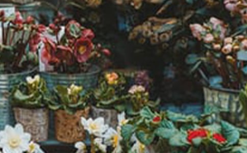 2022���괴ҵ�ƻ�����Ӱ棨ͨ��5ƪ��