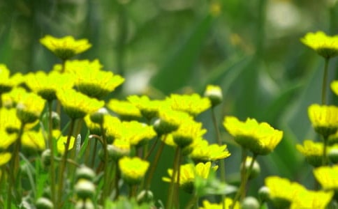 д���������