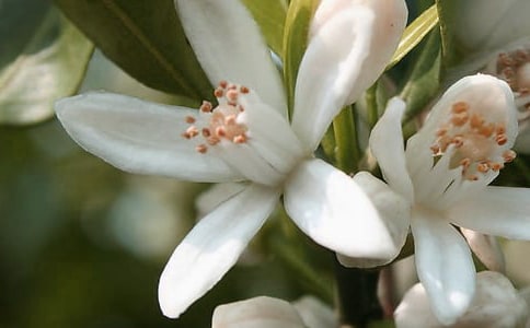 С�������̰��������Ļ��䡷