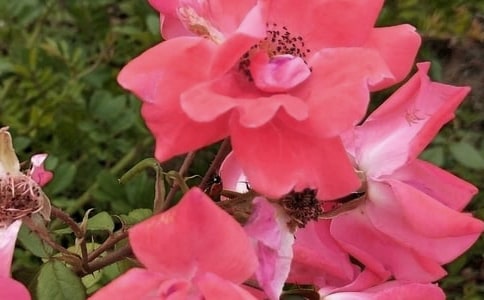 2021�꾭�仨����������ժ¼35��