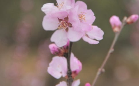 �û��䲻�ٵ���