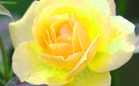 �а����������Ļ���̰�