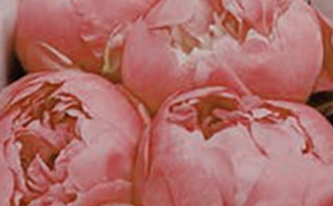 2023�����ݻ���ľ���ժ¼32��