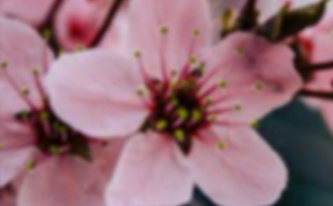 �����еĻ�������