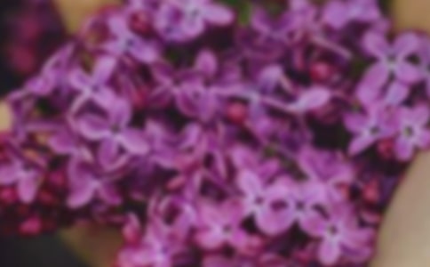 ���������ɺС������̰�