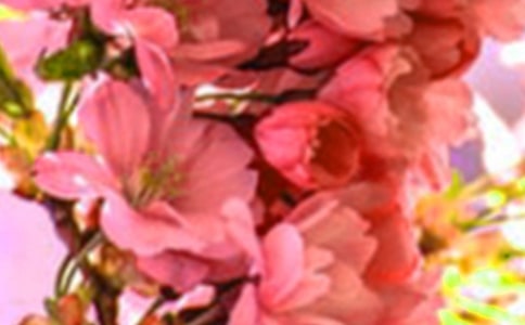 2023�����ݻ���ľ���22��