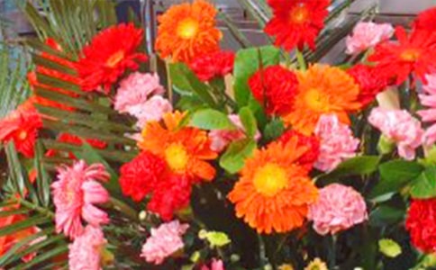 ���������Ϸ�໨���̰�7ƪ