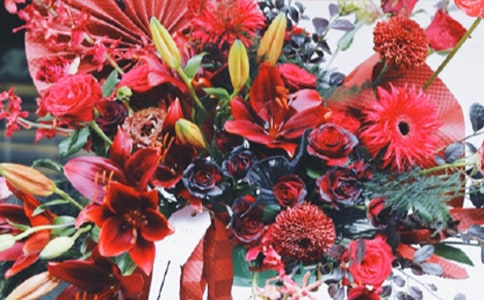 ���������Ϸ�̰����໨����