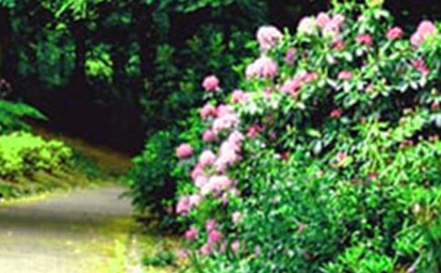 Сѧ����-�Ҽҵ�С��԰