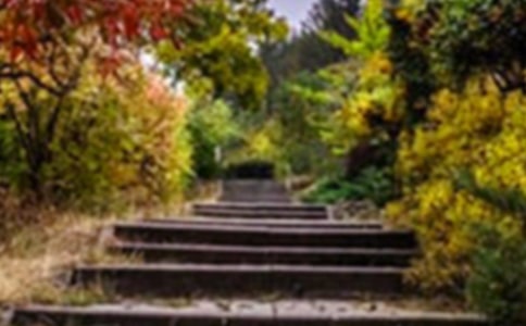 ��԰��ķ��ֻ������ģ�ͨ��3ƪ��