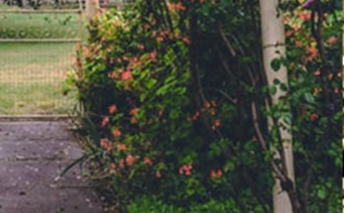 ���ǰ��С��԰