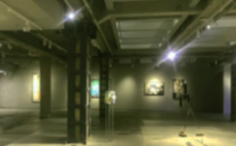 �ι��黭չ����