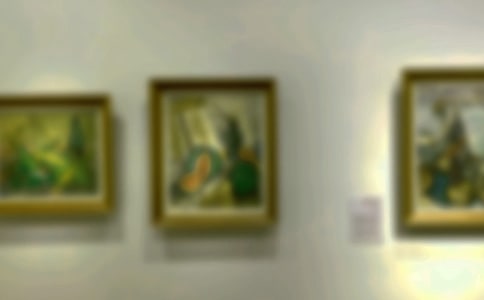 ��ʵ�ã��ι��黭չ����6ƪ