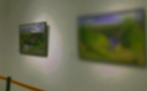 �黭չ�����