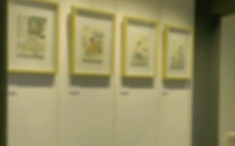 �ι��黭չ���ġ�����