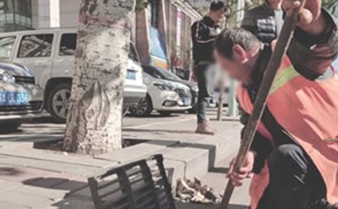 ����վ�����ܽ�