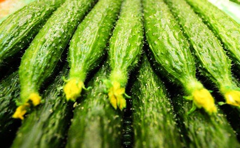 �ƹ���������