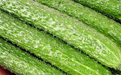 ����ƹ����ľ�Ʒ15ƪ