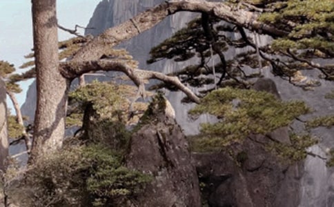 �μǻ�ɽ����