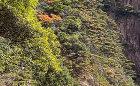 ��ɽ���ĵ��δ�