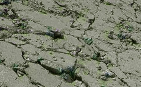 ����������վ���չ����ܽ�6ƪ