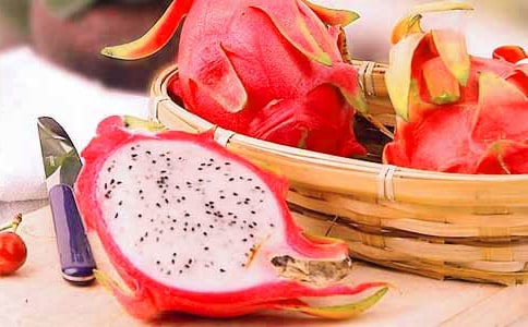 ���������ľ�ѡ15ƪ