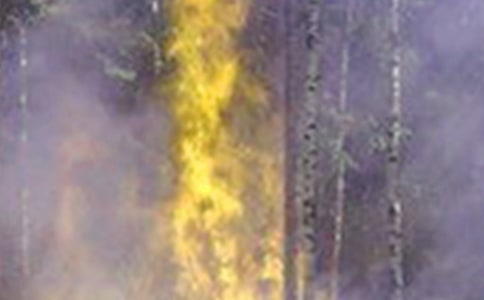 ���ڻ����¹ʵ�������棨ͨ��6ƪ��