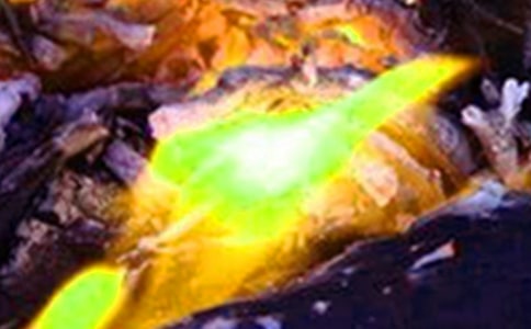 ������ַ��ع����ܽ�