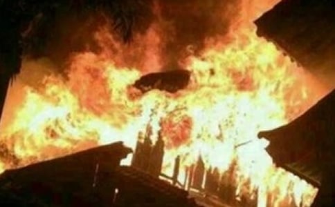 �ֵ����ַ��ع�������㱨���ģ�ͨ��11ƪ��