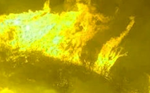 Сѧ�����������Ĺ����ƶ�