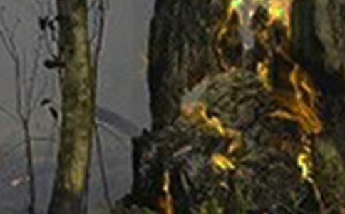 ���������Ų����ι����ܽ�(15ƪ)