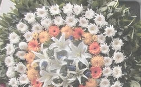 ������������(7ƪ)