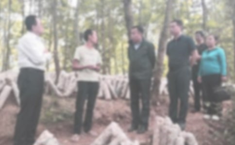 �ͼ��ŷø��˹����ܽ�