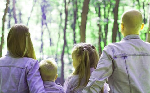 ���������ҳ������ƻ�10ƪ