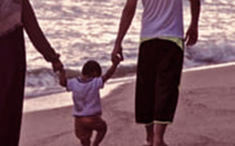 ����ͥ����ָ�������ƻ�