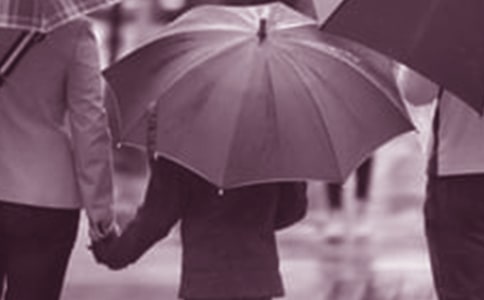 ��������ͥ�����Ĺ����ܽ�15ƪ