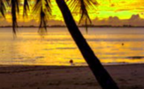 ���ڼҽ����ʵ�����淶��