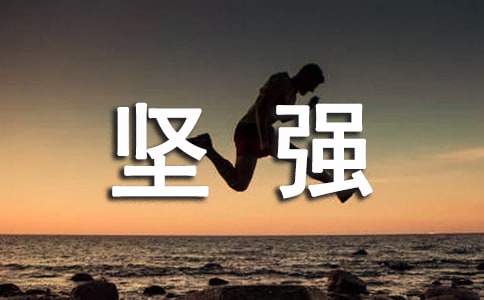 ��ǿ����¼ͨ��15ƪ