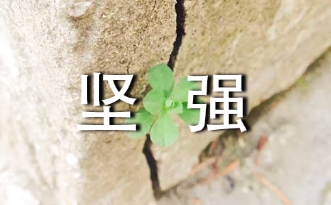 2023�����ݼ�ǿ�ľ��ӻ���52��