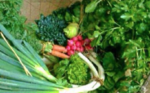 ��ע����ѧ�������������ķ���