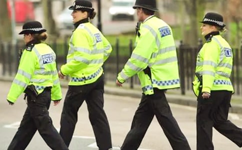 ���ڽ��������ƻ�4ƪ