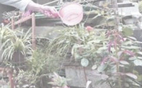 ���ڽ�������