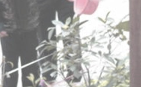 ������������