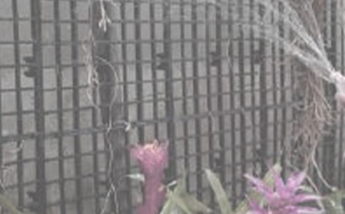 ���ڽ������ռǣ�ͨ��26ƪ��