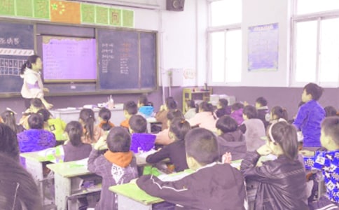 ���꼶��Ϣ������ѧ�����ƻ���ѡ11ƪ