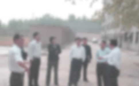 �ֵ�����˹����ܽ�