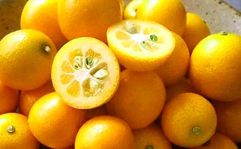 д��������������ģ�ͨ��6ƪ��